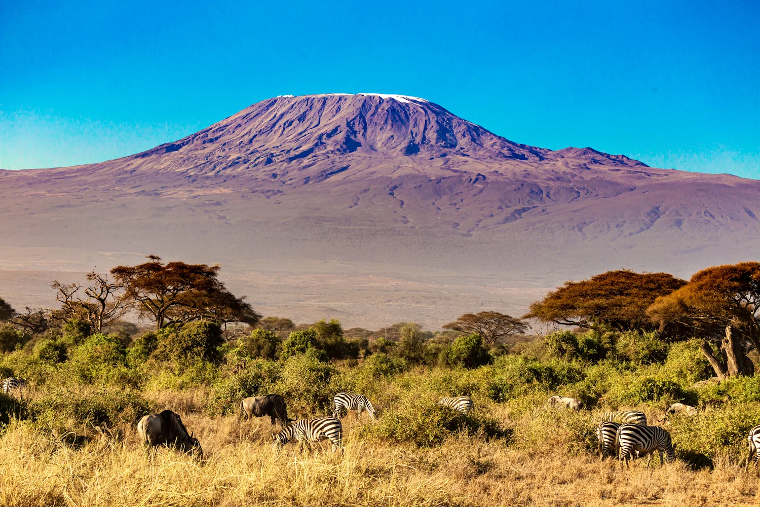 Snow on the summit of Mount Kilimanjaro